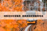 湘西竞价托管服务  湘西竞价托管服务电话