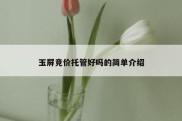 玉屏竞价托管好吗的简单介绍