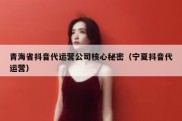 青海省抖音代运营公司核心秘密（宁夏抖音代运营）