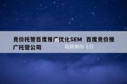 竞价托管百度推广优化SEM  百度竞价推广托管公司