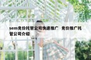 sem竞价托管公司快速推广  竞价推广托管公司介绍