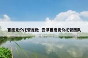 百度竞价托管定做  云浮百度竞价托管团队