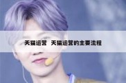 天猫运营  天猫运营的主要流程