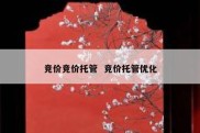 竞价竞价托管  竞价托管优化