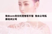 衡水sem竞价托管哪家不错  衡水公司拓展培训公司