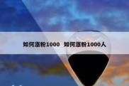 如何涨粉1000  如何涨粉1000人