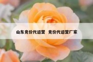 山东竞价代运营  竞价代运营厂家