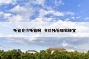 托管竞价托管吗  竞价托管哪家便宜