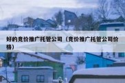 好的竞价推广托管公司（竞价推广托管公司价格）