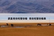 武昌竞价托管价格  竞价托管价格表