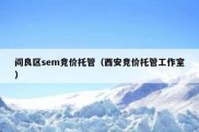 阎良区sem竞价托管（西安竞价托管工作室）