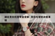 湖北竞价托管专业定制  竞价托管的注意事项