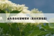 山东竞价托管哪家好（竞价托管信息）