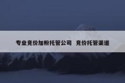 专业竞价加粉托管公司  竞价托管渠道