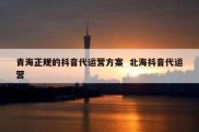青海正规的抖音代运营方案  北海抖音代运营