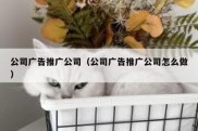 公司广告推广公司（公司广告推广公司怎么做）