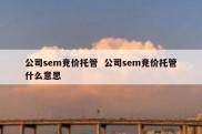 公司sem竞价托管  公司sem竞价托管什么意思