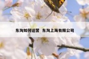 东淘如何运营  东淘上海有限公司