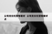 公司竞价托管哪里好  公司竞价托管哪里好点