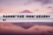 专业网络推广代运营（网络推广运营主要做什么）