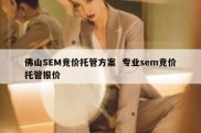 佛山SEM竞价托管方案  专业sem竞价托管报价