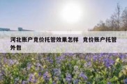 河北账户竞价托管效果怎样  竞价账户托管外包