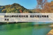 四川口碑好的竞价托管  竞价托管公司联系方式