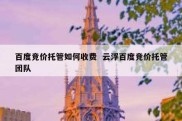 百度竞价托管如何收费  云浮百度竞价托管团队