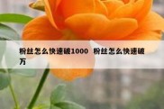 粉丝怎么快速破1000  粉丝怎么快速破万