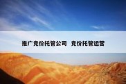 推广竞价托管公司  竞价托管运营
