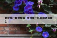 竞价推广托管服务  竞价推广托管服务是什么