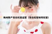 梅州账户竞价托管运营（竞价托管如何托管）