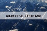 为什么做竞价托管  竞价托管什么意思