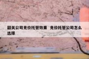 韶关公司竞价托管效果  竞价托管公司怎么选择