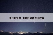 竞价托管的  竞价托管的怎么收费