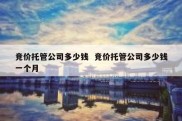 竞价托管公司多少钱  竞价托管公司多少钱一个月