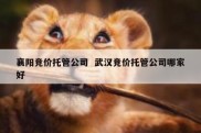 襄阳竞价托管公司  武汉竞价托管公司哪家好