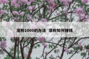 涨粉1000的办法  涨粉如何赚钱