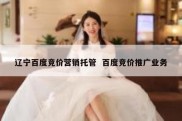 辽宁百度竞价营销托管  百度竞价推广业务