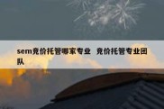 sem竞价托管哪家专业  竞价托管专业团队