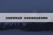 沈阳短视频运营  沈阳短视频运营招聘网