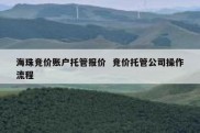 海珠竞价账户托管报价  竞价托管公司操作流程