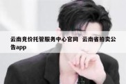 云南竞价托管服务中心官网  云南省拍卖公告app
