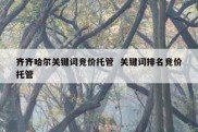 齐齐哈尔关键词竞价托管  关键词排名竞价托管