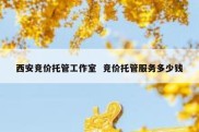 西安竞价托管工作室  竞价托管服务多少钱