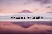 temu选品技巧  TEMU选品技巧