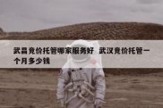 武昌竞价托管哪家服务好  武汉竞价托管一个月多少钱