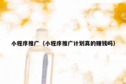 小程序推广（小程序推广计划真的赚钱吗）