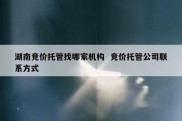 湖南竞价托管找哪家机构  竞价托管公司联系方式