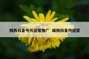 陕西抖音号代运营推广  咸阳抖音代运营